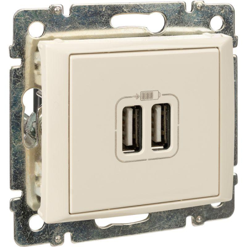 Розетка USB 2-м СП Valena сл. кость Leg 774170 фото 11