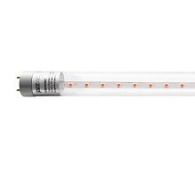 Лампа светодиодная PLED T8-600 PPG Agro 8Вт G13 CL для растений Jazzway 5025899