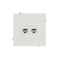 Розетка компьютерная 2-м KANT RJ45 кат.6A без шторки бел. песок DKC 7010674