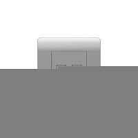Розетка компьютерная 2-м NEW3-E RJ45 серебр. CHINT 431456