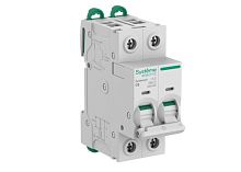 Выключатель автоматический 2п C 6А 6кА Systeme9 400В SE S9F22206
