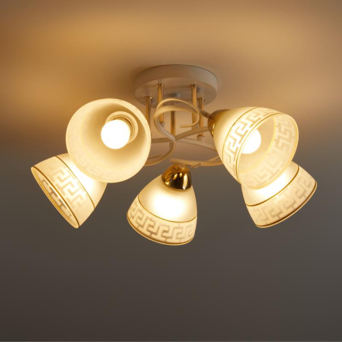 Светильник Entle 200Вт E27х5 IP20 потолочн. Freya FR5465CL-05W фото 11