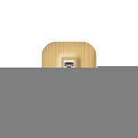 Розетка компьютерная ОП IP20 сосна IONICH 1443