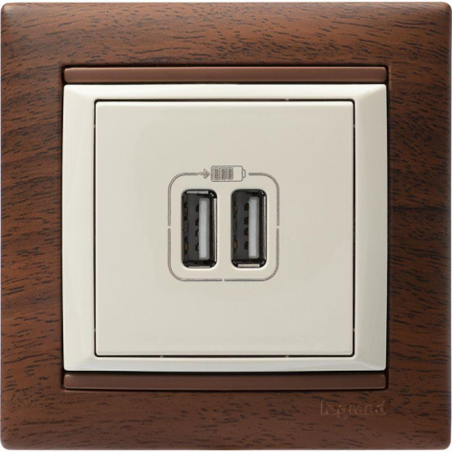 Розетка USB 2-м СП Valena сл. кость Leg 774170 фото 14
