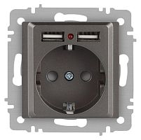 Розетка Accent 6-410-09 P+E Schuko со шторками 16А-250В + 2хUSB IP20 СУ титан Intro Б0063711