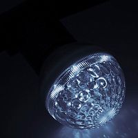 Строб-лампа 5млн вспышек E27 12Вт 220В IP54 50мм прозр. NEON-NIGHT 411-125